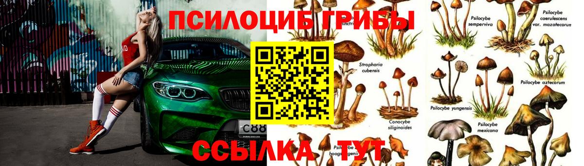 Галлюциногенные грибы Cubensis  Вход с VPN  Старая Купавна 